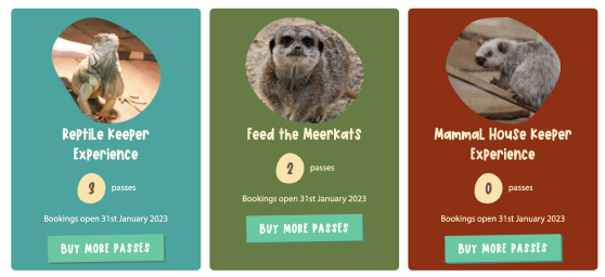 Feed the Meerkats • Cannon Hall Farm